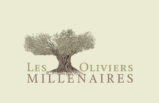 Graphisme Design – Logo – papeterie – typographie- carte de visite