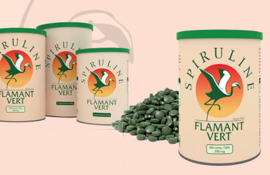 Spiruline Motion Design 3D Swiss – Design et concept