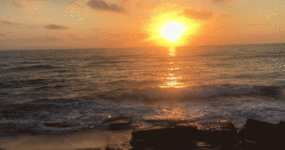 cinemagraph Samuel Dahan